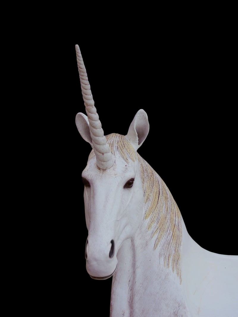 Unicorn-themed Expos